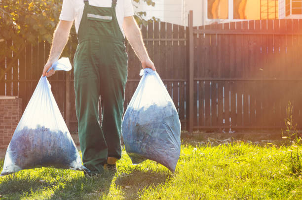 Best Electronics Removal Services  in Lexington, KY